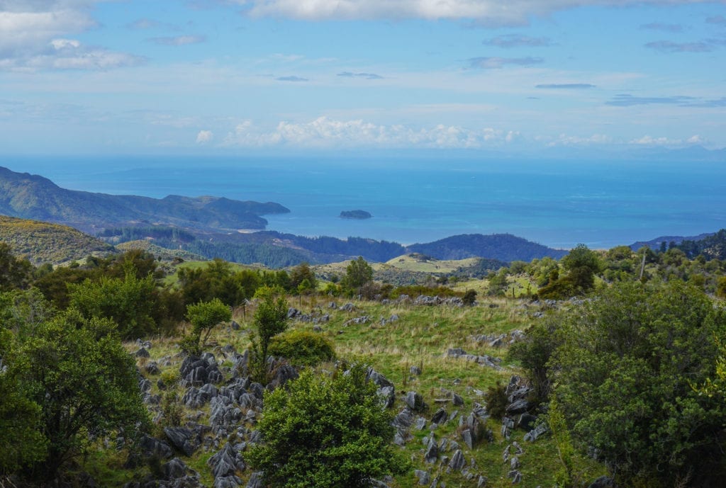 Takaka hill view Abel Tasman trips
