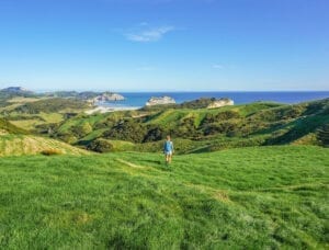 Wharaiki Beach abel tasman trips the barn cabins and camping