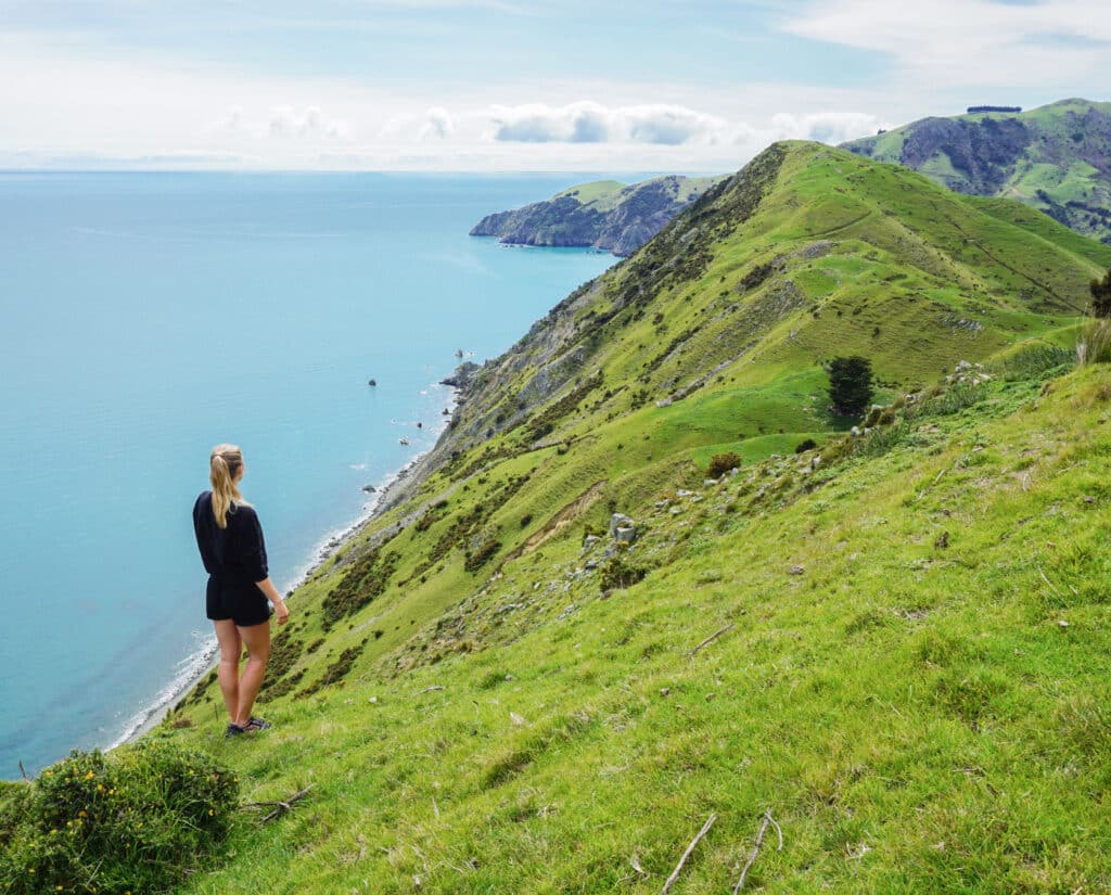 Cable Bay - Abel Tasman Trips
