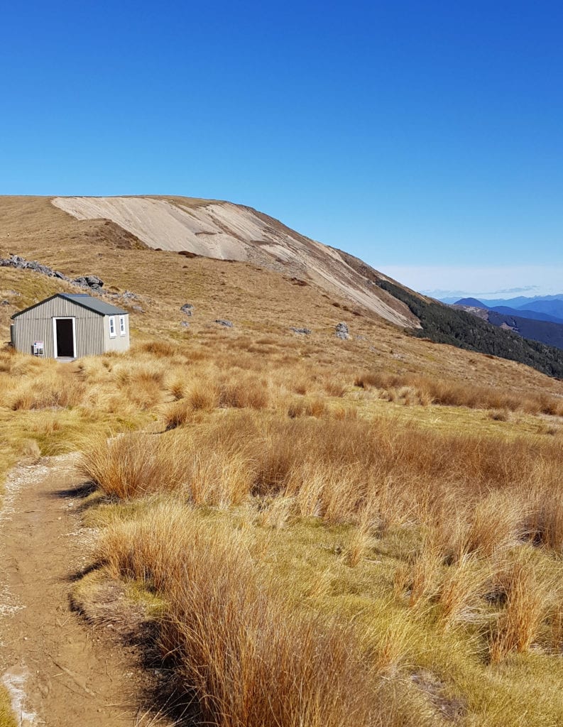Mt Robert Hike Abel Tasman Trips the barn cabins and camping