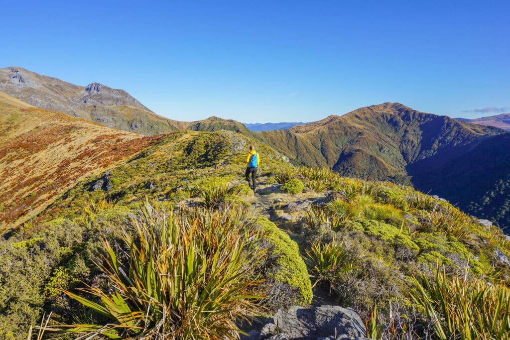 mt arthur - Abel Tasman Trips