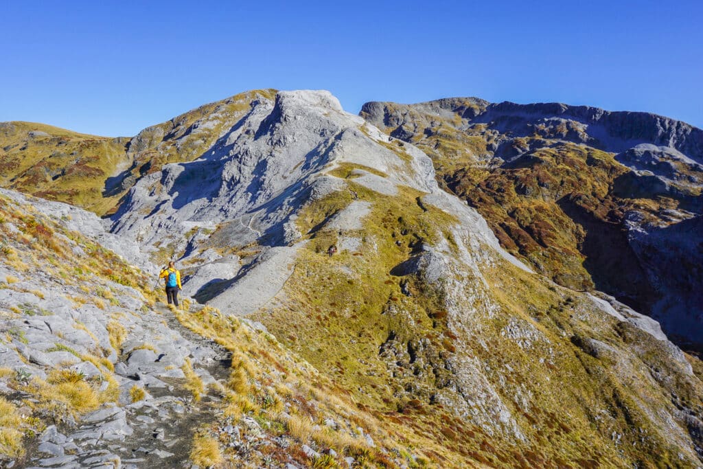 mt arthur - Abel Tasman Trips