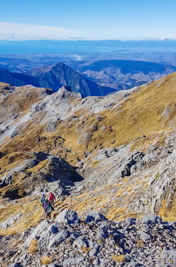 mt arthur - Abel Tasman Trips
