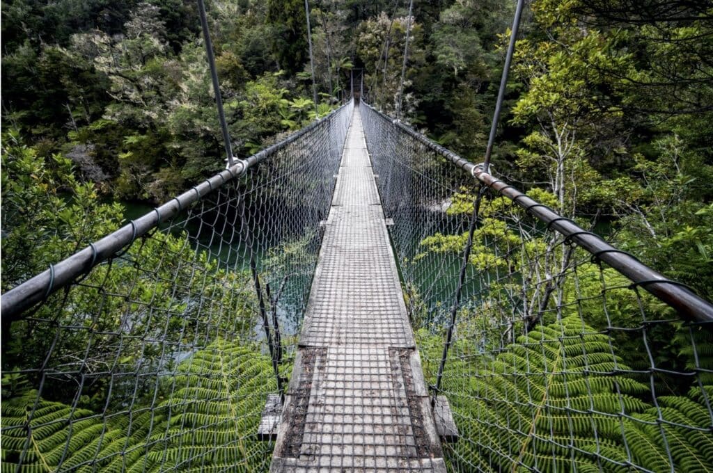 Falls river sswing bridge - abel tasman trips
