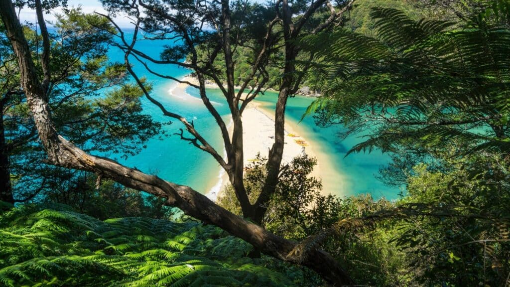 Falls creek - abel tasman trips