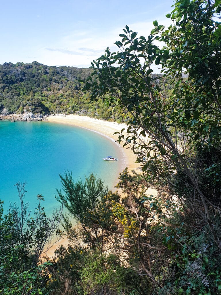 Te pukatea beach - abel tasman trips