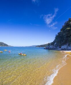 Abel tasman trips freedom kayak