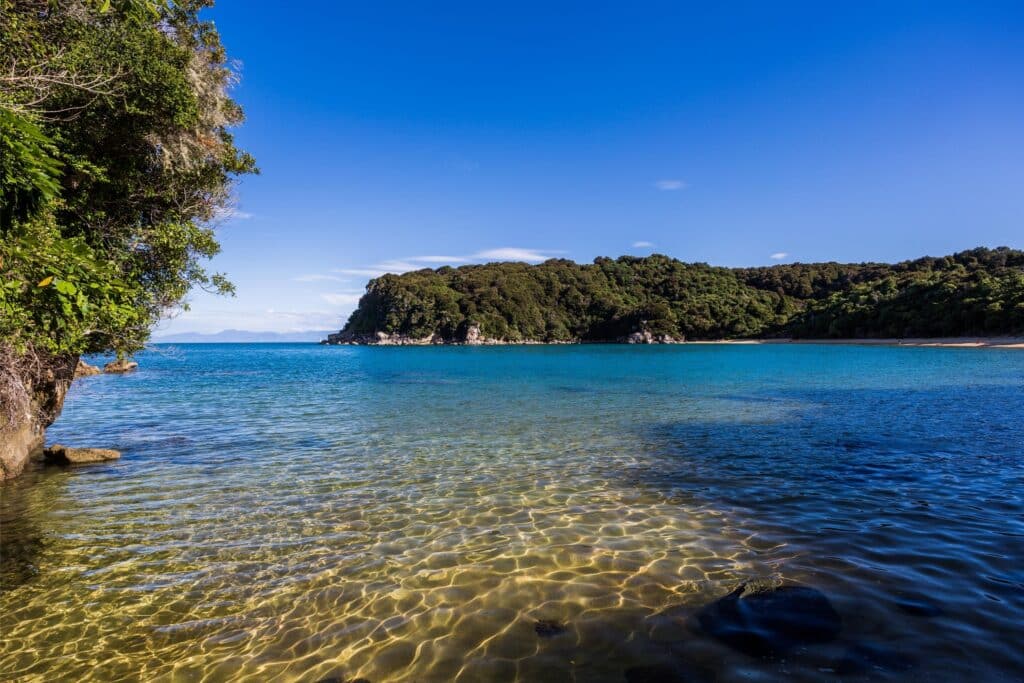 Te pukatea beach - abel tasman trips