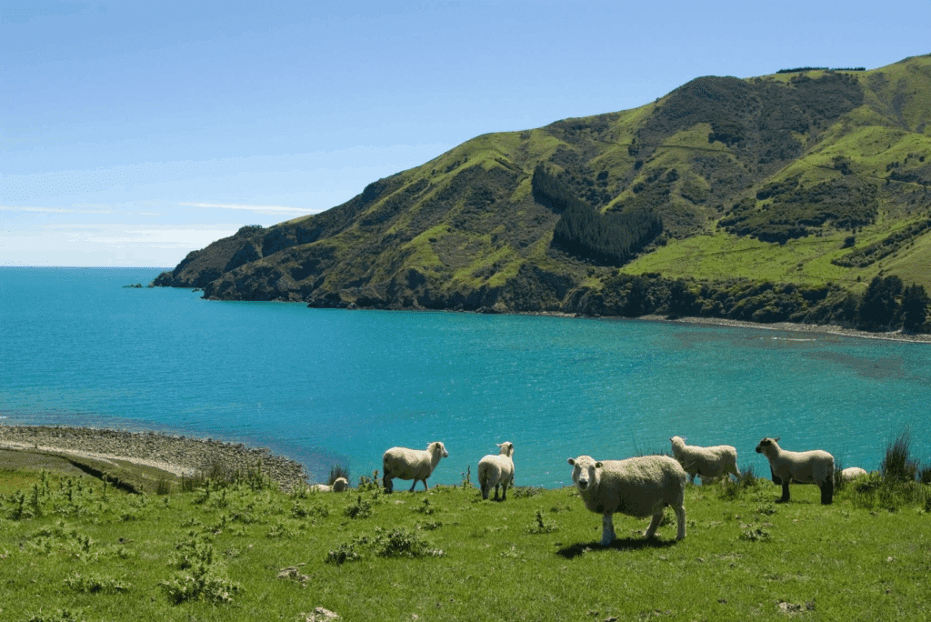 Cable Bay - Abel Tasman Trips