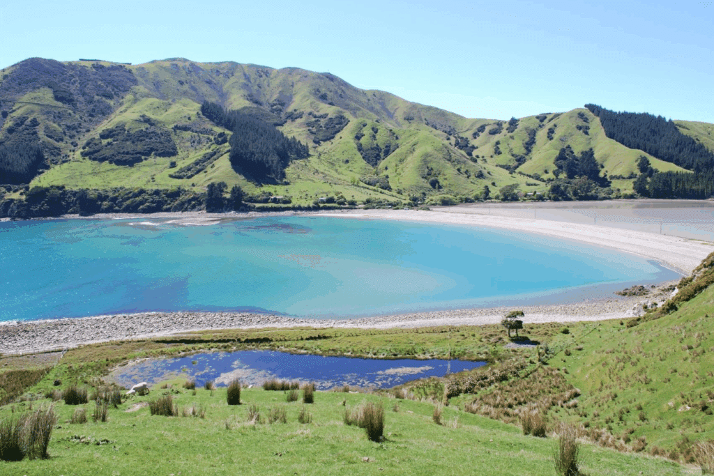 Cable Bay - Abel Tasman Trips