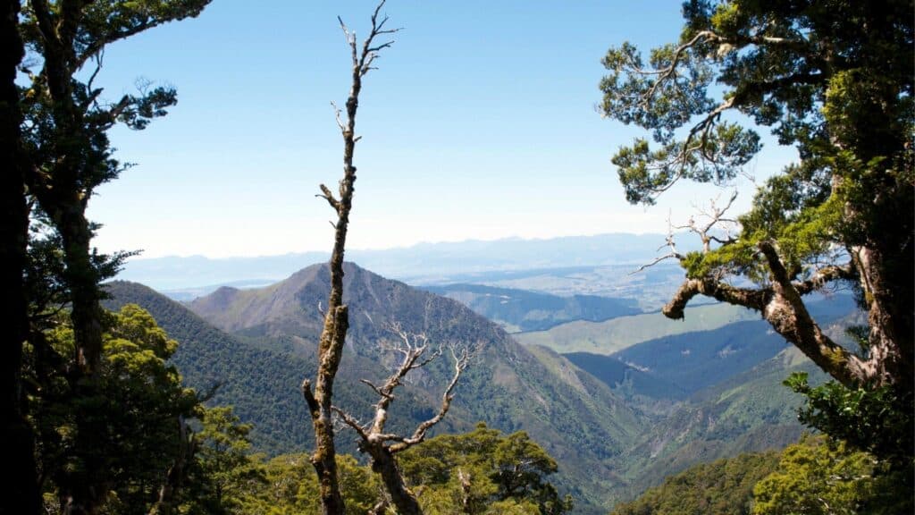 mt arthur - Abel Tasman Trips