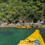 Abel Tasman Trips - kayak round the coast