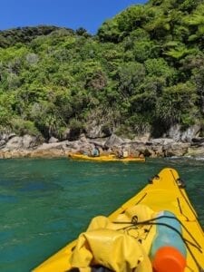 Abel Tasman Trips - kayak round the coast