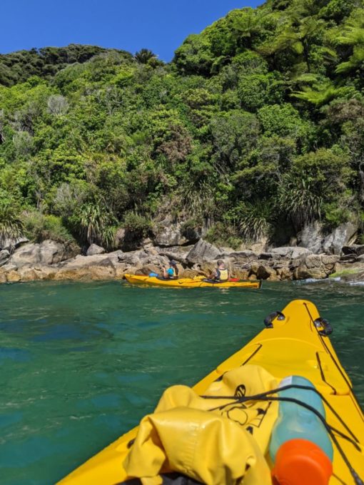 Abel Tasman Trips - kayak round the coast