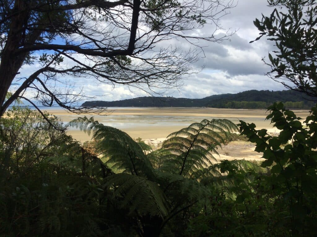 Porters beach - Abel tasman Trips