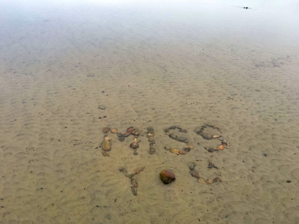 Miss you at porters beach - Abel Tasman trips