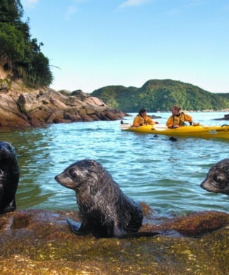 Kayaking with Abel Tasman Trips