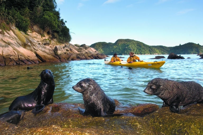 Kayaking with Abel Tasman Trips