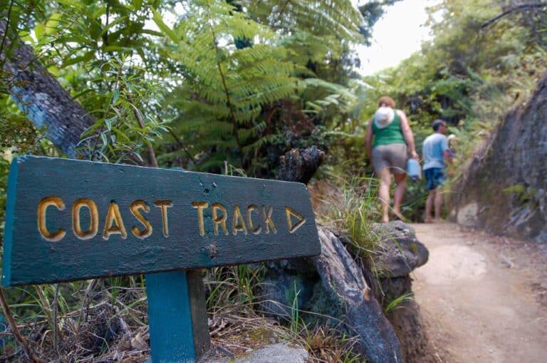 Kayaking with Abel Tasman Trips