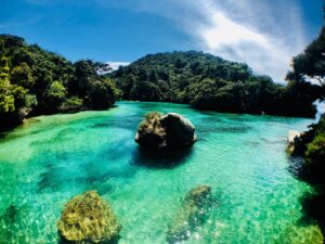 Kayaking abel tasman