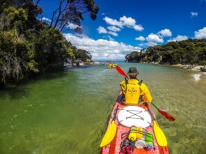 Guided Kayak trip Abel Tasman Trips