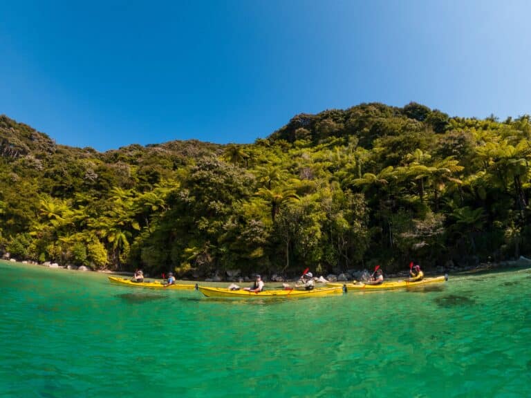 Kayaking with Abel Tasman Trips