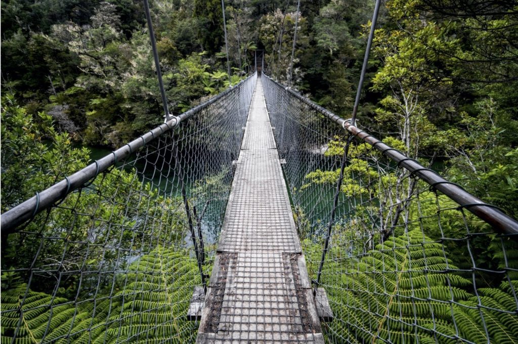 Falls River Swing Bridge Abel Tasman trips