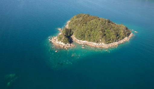 Island in the Abel Tasman Trips