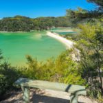 Torrent Bay Abel Tasman