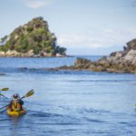 Paddling kayaking abel tasman trips freedom