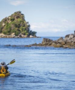 Paddling kayaking abel tasman trips freedom