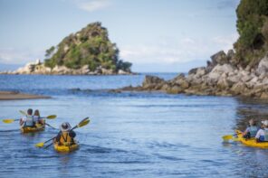 Paddling kayaking abel tasman trips freedom