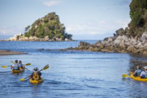 Paddling kayaking abel tasman trips freedom