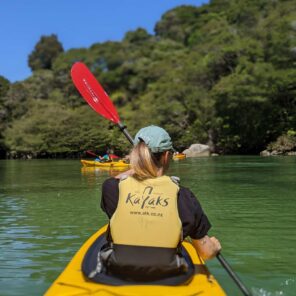 Abel Tasman Trips - kayaking