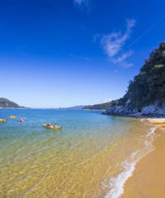 Remote Coast - Guided Kayaking
