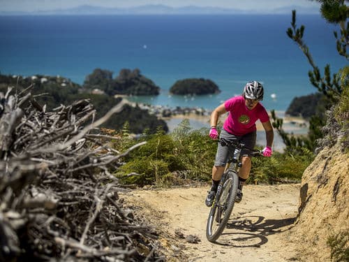 Kaiteri Mountain Bike park - Abel Tasman Trips