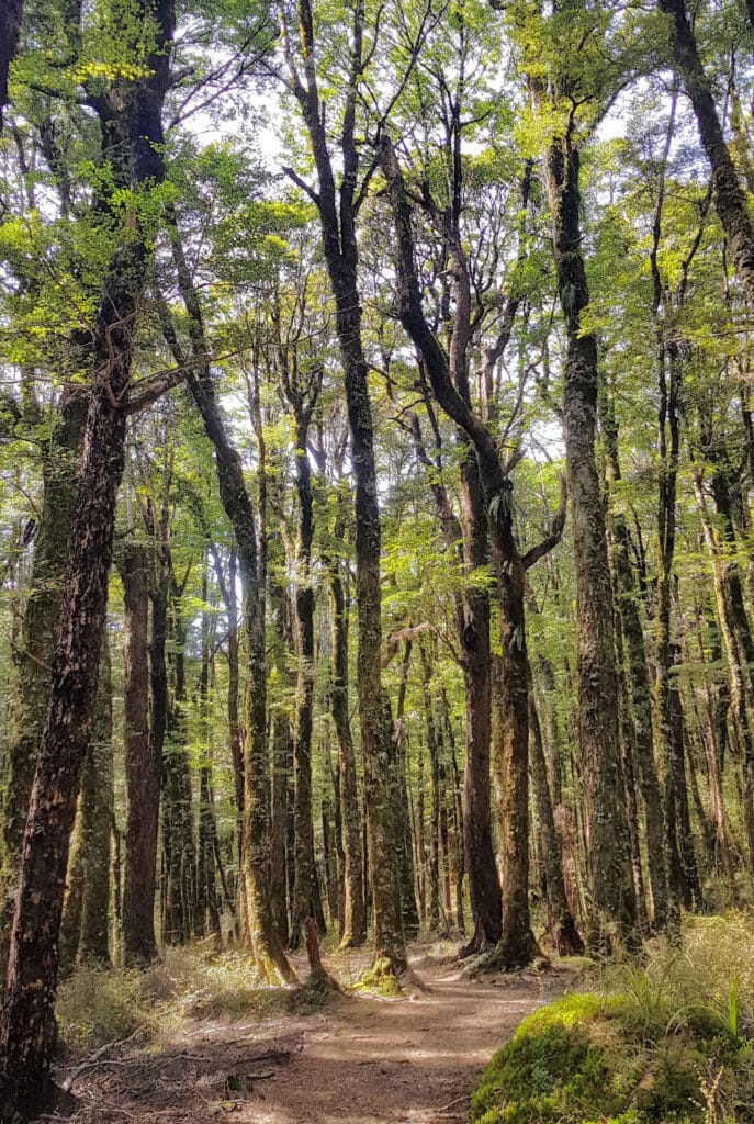 Harwoods hole - Abel Tasman Trips