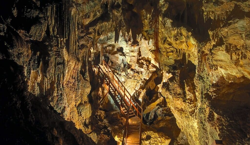 Ngarua caves - abel tasman trips