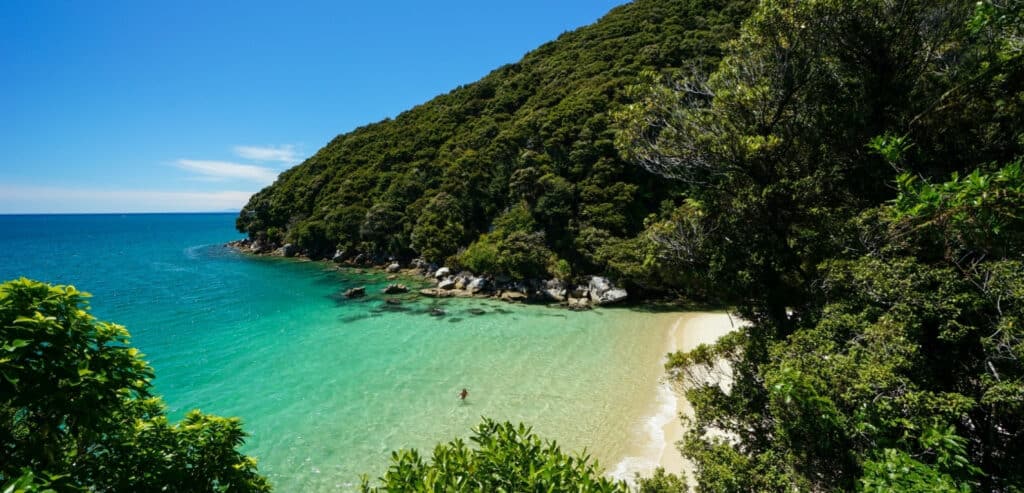 Abel Tasman trips beach