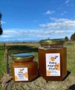 Barn Honey big and small jar