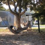 hammock at the barn cabins and camp