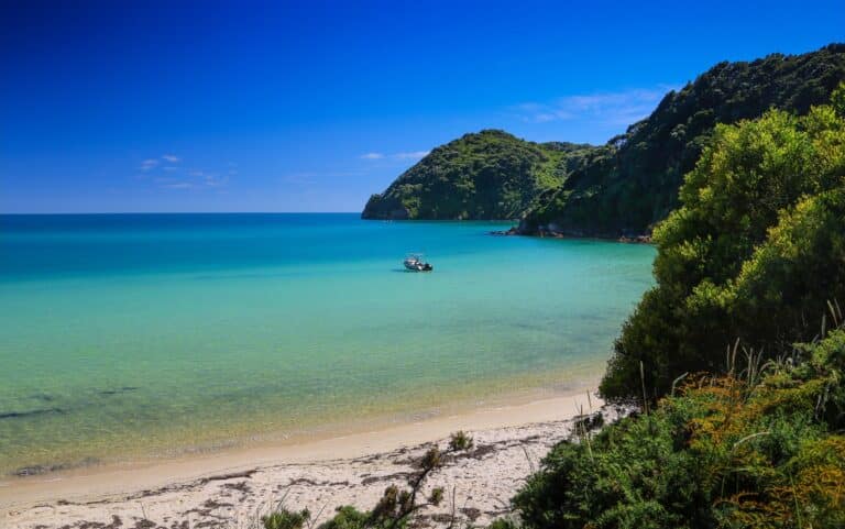 Awaroa beach in the Abel Tasman