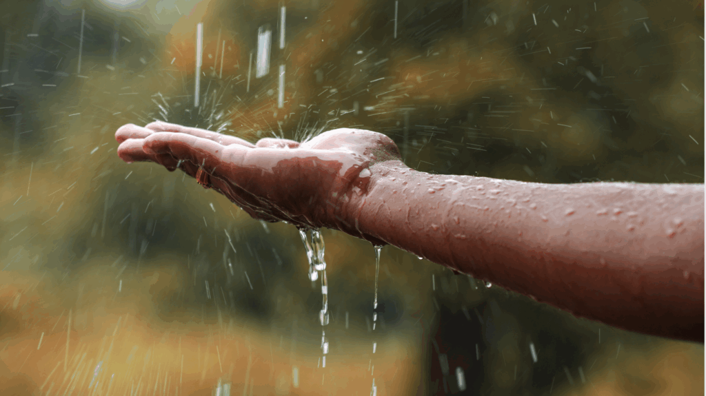 rain water collection at the barn cabins and camp