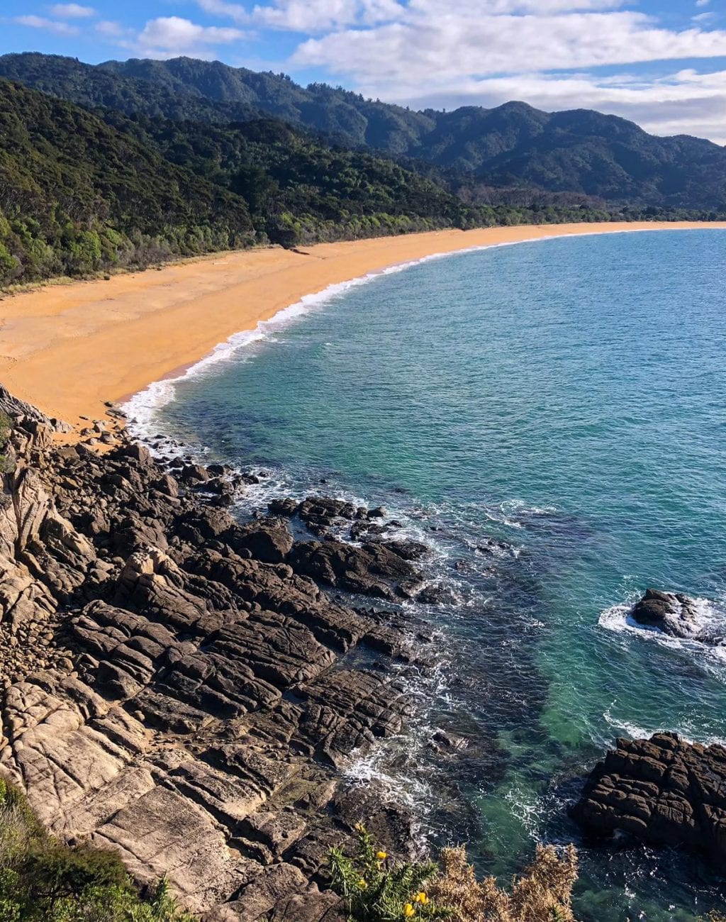 Abel Tasman Day Trips | The Barn Cabins & Camping